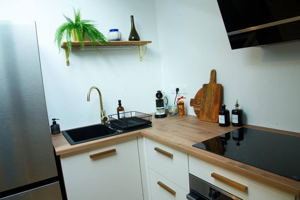 Appartement De Charme A Нанси Екстериор снимка